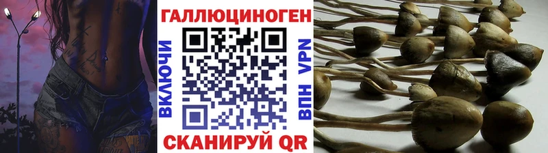 Купить где  Плёс  Псилоцибиновые грибы ЛСД 